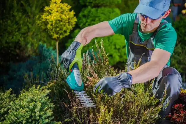landscaping services Heath
